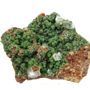 Conichalcite Mexique 4x3cm (conimc4-15)