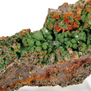 Conichalcite Mexique 8x3.5cm (conimc3-4)