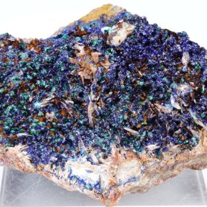 Azurite Malachite Maroc 5.8x4.4cm (azm1-12)