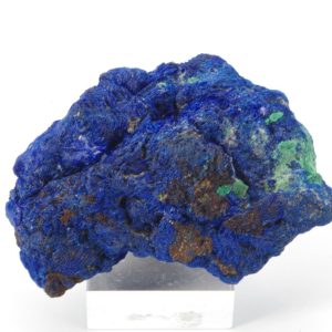 Azurite Congo 4.5x3.5cm (azc21-3)