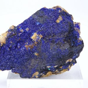 Azurite Maroc 6.4x4.4cm (azm1-19)