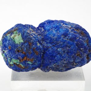 Azurite Congo 6.5x3.5cm (azc21-13)