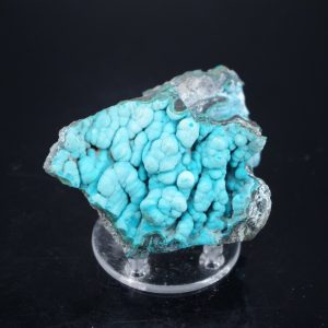 Chrysocolle Congo 7.5x6cm (chryc10)