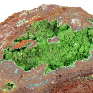 Conichalcite Mexique 8x6cm (conimc3-7)