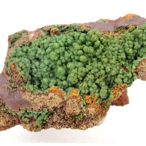 Conichalcite Mexique 5.5x2.5cm (conimc4-11)