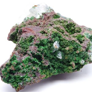 Conichalcite Mexique 7x6.5cm (conimgc7)
