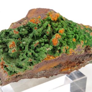 Conichalcite Mexique 9.5x5cm (conimc3-6)