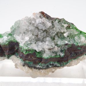 Conichalcite Mexique 6.5x3.5cm (conimc4-10)