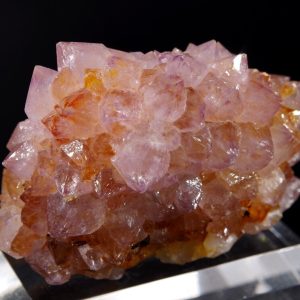 Améthyste “Cactus” Afrique du Sud 5.5x4.2cm (cac43)