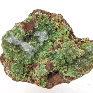 Conichalcite Mexique 4.5x3cm (conimc4-6)