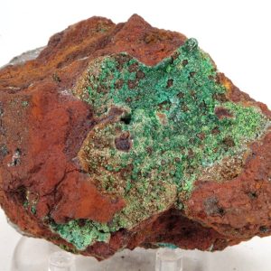 Conichalcite Mexique 9x6cm (conimc3-11)