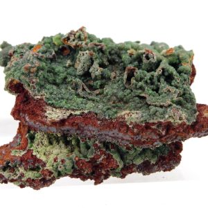 Conichalcite Mexique 4x3cm (conimc4-1)