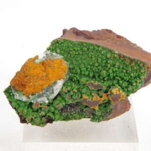 Conichalcite Mexique 4x2cm (conimpf5)