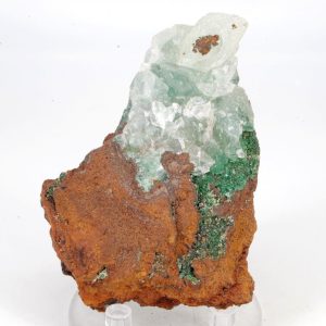 Conichalcite Mexique 7x5cm (conimc3-1)