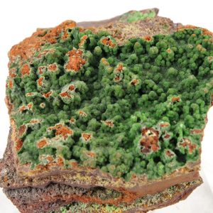Conichalcite Mexique 5x5cm (conimc3-5)