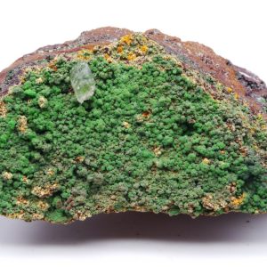 Conichalcite Mexique 7.6x3cm (conimgc2)