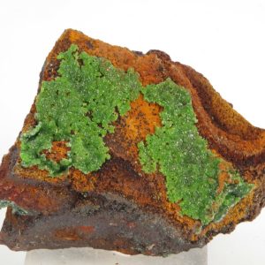 Conichalcite Mexique 4.5x3.5cm (conimpf4)