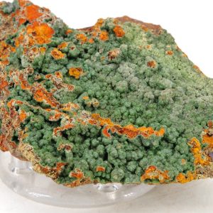Conichalcite Mexique 9x6cm (conimc3-8)
