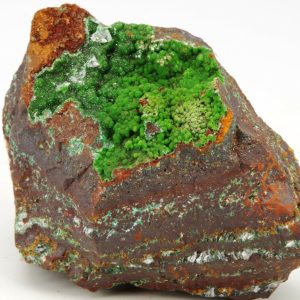 Conichalcite Mexique 5.5x4cm (conimg2c21)