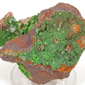Conichalcite Mexique 7x5cm (conimc3-12)
