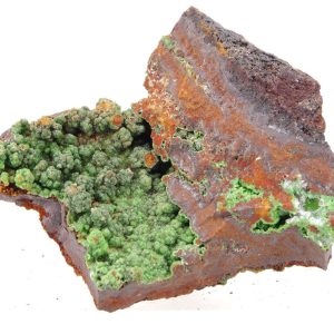 Conichalcite Mexique 5x3.5cm (conimc4-14)