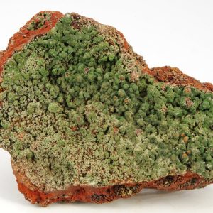 Conichalcite Mexique 6.5x5cm (conimpf23)