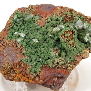 Conichalcite Mexique 7.5x5cm (conimc3-16)