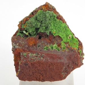 Conichalcite Mexique 4x4cm (conimpf3)