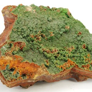 Conichalcite Mexique 8.8x6cm (conimgc22)