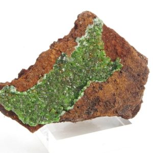 Conichalcite Mexique 4x3cm (conimpf17)