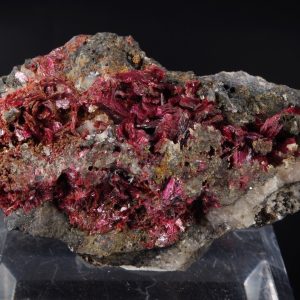 Erythrite Maroc 7x4.2cm (eryx13-9)