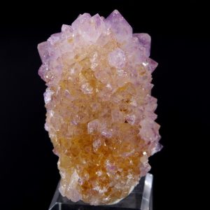 Améthyste “Cactus” Afrique du Sud 3x5cm (cac16)