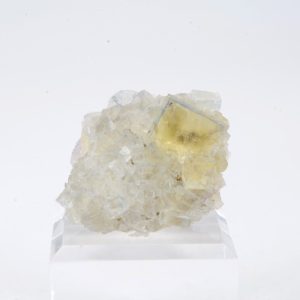 Fluorite "La barre" France 2x2cm (ffrkb27-11)