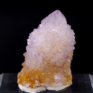 Améthyste “Cactus” Afrique du Sud 3x4.4cm (cac53)