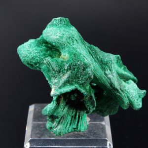 Malachite fibreuse Congo 3.2x2.6cm (malcf6)