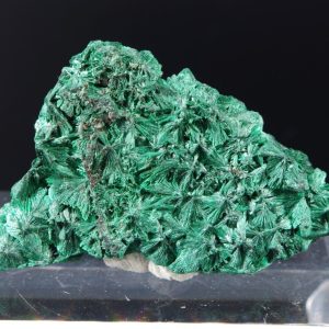 Malachite fibreuse Congo 4.6x3.3cm (malcf28)