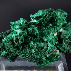 Malachite fibreuse Congo 7.5x4cm (malcf24)