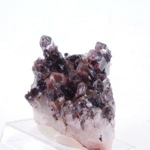 Quartz à Ame Hématite Inde 2.5x2.8cm (qfadi8)