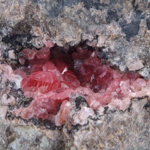 Rhodochrosite Pérou 8x7cm (rhop12)