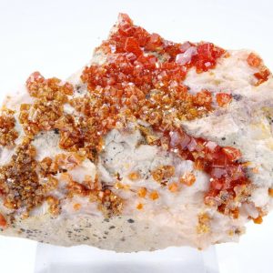 Vanadinite Maroc 5x3.5cm (jgs26-18)