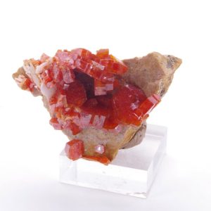 Vanadinite Maroc 3.5x2.5cm (vmv16)
