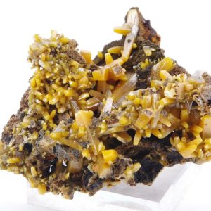 Wulfénite Mexique 4x4.5cm (wmex3-22)