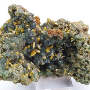 Wulfénite Mimétite Mexique 8.5x6.5cm (wmex17-4)
