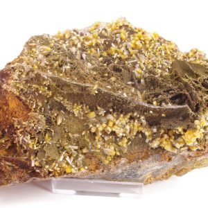 Wulfénite Mottramite Mexique 20x10cm (wmex11-2)