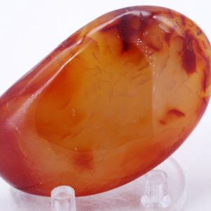 Cornaline "galet" 7x4cm (gcorn1)