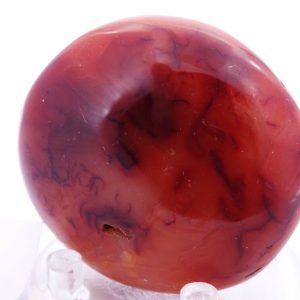 Cornaline "galet" 5x4.5cm (gcorn4)