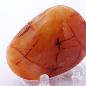 Cornaline "galet" 6x4.5cm (gcorn3)