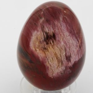 Bois fossile "oeuf" 6x5cm (bfo3)