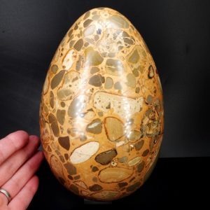 Léopardite "oeuf" 20 cm (leoxl1)