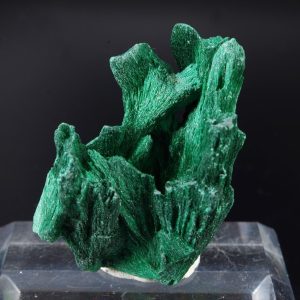 Malachite fibreuse Congo 4.6x3.4cm (malcf22)